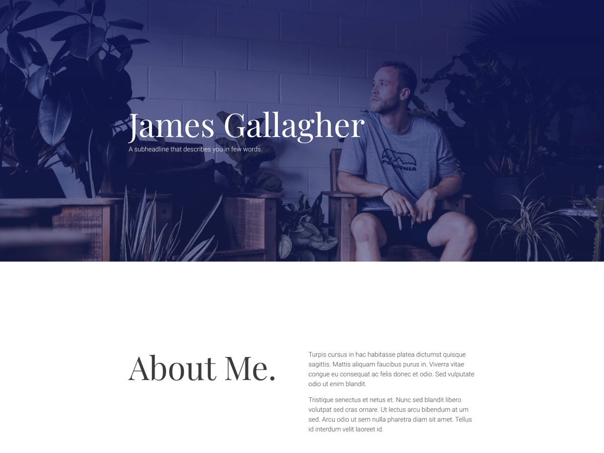 Screenshot of Carrd template Personal Showcase
